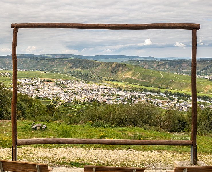 Moselkino am Moselachter bei Leiwen