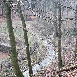 Kehrbach Trassem