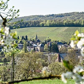 Moselsteig Perl mit Blick auf Schengen