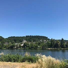 Blick auf Igel