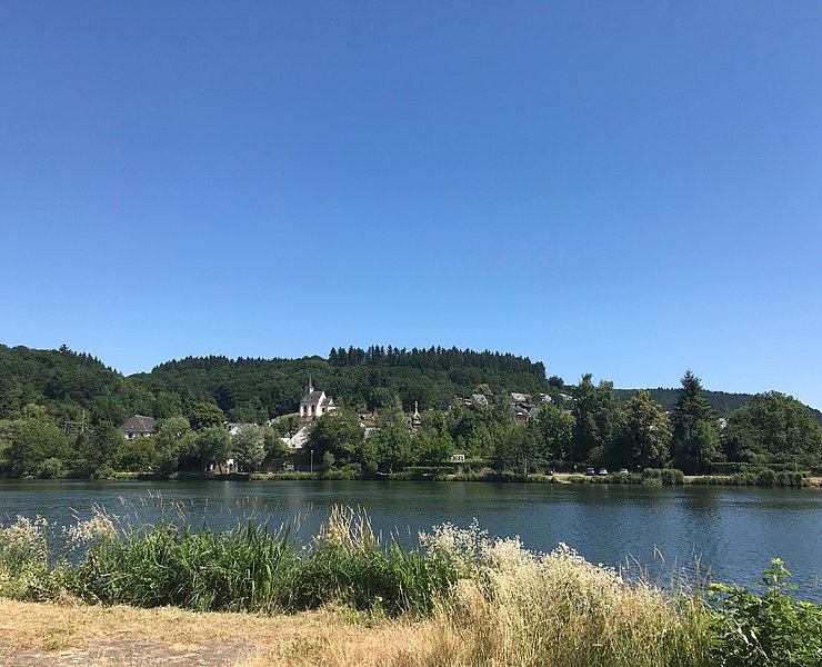 Blick auf Igel