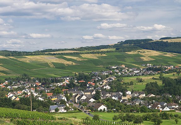 Aussicht Konzer Tälchen
