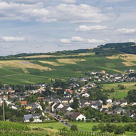 Aussicht Konzer Tälchen