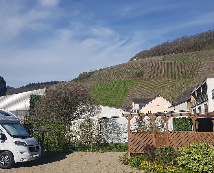 Micha's Wohnmobilstellplatz (3)