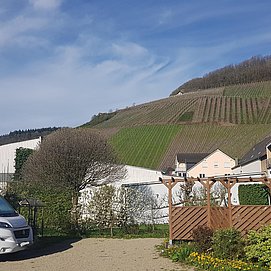 Micha's Wohnmobilstellplatz (3)