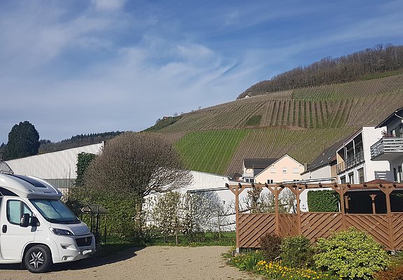 Micha's Wohnmobilstellplatz (3)