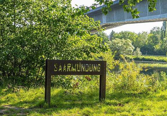 Saarmündung Konz (5)