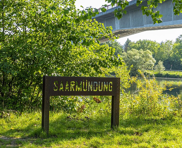 Saarmündung Konz (5)