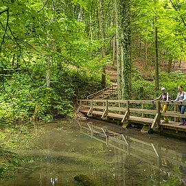 Leukbachtal (1)