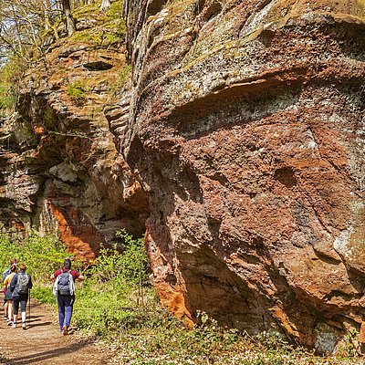 Foto: Kollesleuker Schweiz (3)