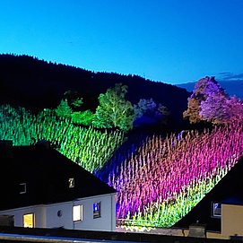 20260606_Lumina Saarburg