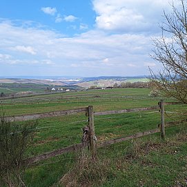Pellingen (2)