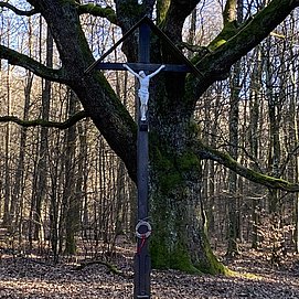 Krohkreuz (01)