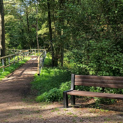 Foto: Spazierweg Warsberg (2)