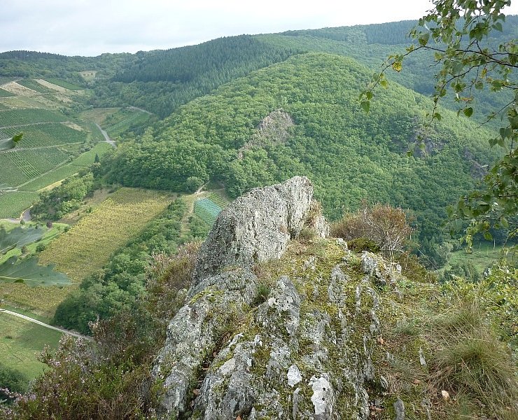 Blick über das Veldenzer Bachtal zum Langen Hammer Felsen