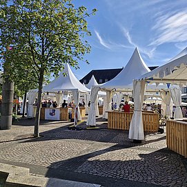 Festplatz Heimat- und Weinfest Konz (1)