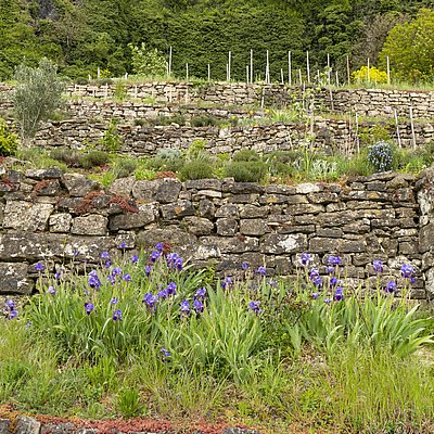 Foto: Felsengarten Nittel (3)