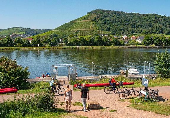 Saar-Radweg bei Schoden