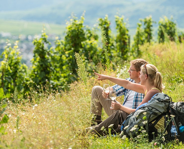 Rast auf dem Brauneberg