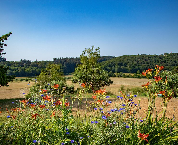 Premiumwanderweg Konzer Höhenrunde (01)