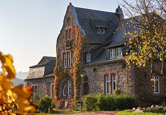 Weingut Würtzberg (1)