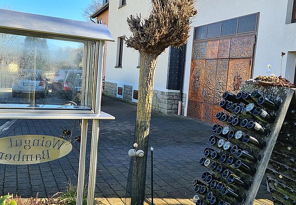 Weingut Bamberg Oberbillig (1)