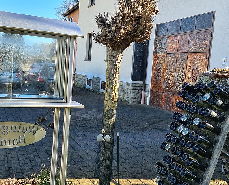 Weingut Bamberg Oberbillig (1)