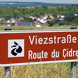 Viezstraße bei Palzem