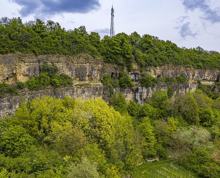 Felsengarten Nittel