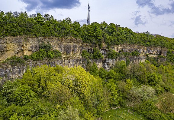 Felsengarten Nittel