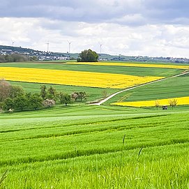 Saargau (02)
