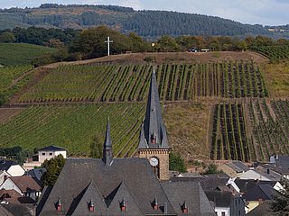 Saardom Wiltingen