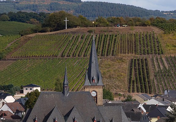 Saardom Wiltingen