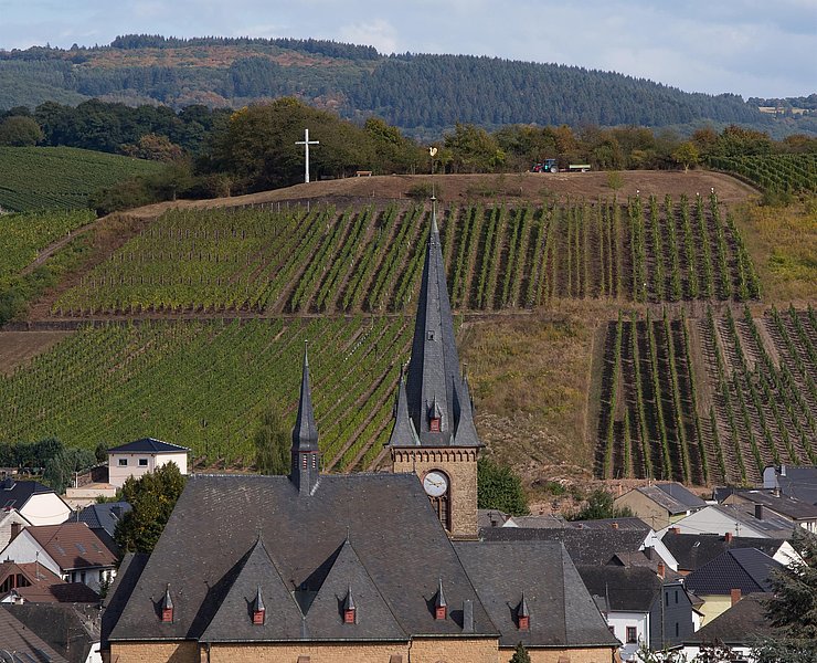 Saardom Wiltingen