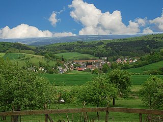 Blick auf Mannebach