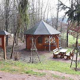 Insekten des Waldes (3)