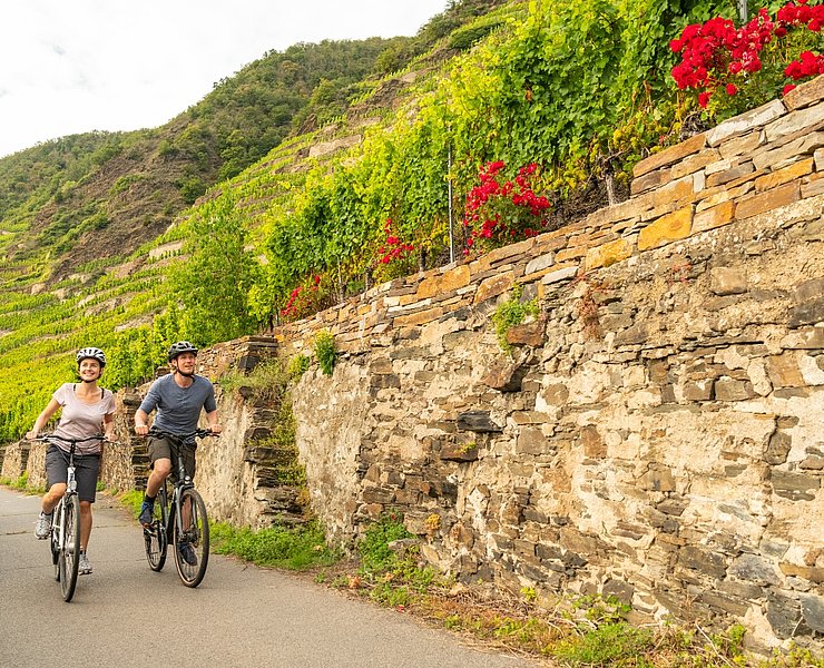 Mosel-Radweg bei Winningen