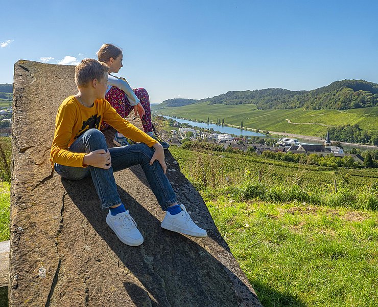 Blick auf Nittel