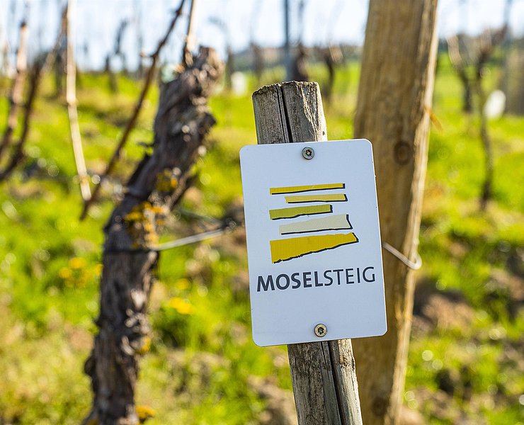 Moselsteig
