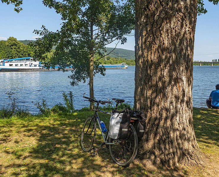 Moselradweg (2)