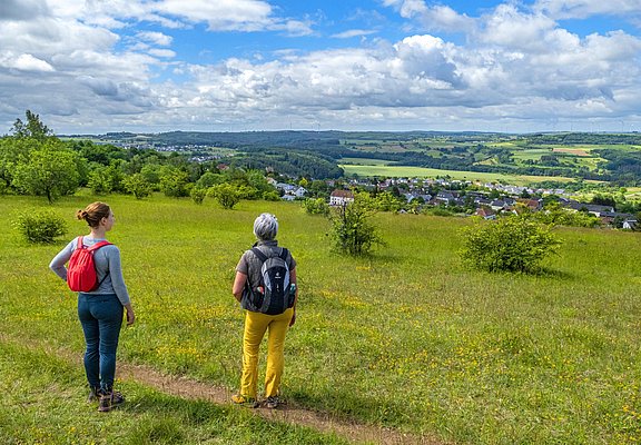 Naturschutzgebiet Eiderberg (1)