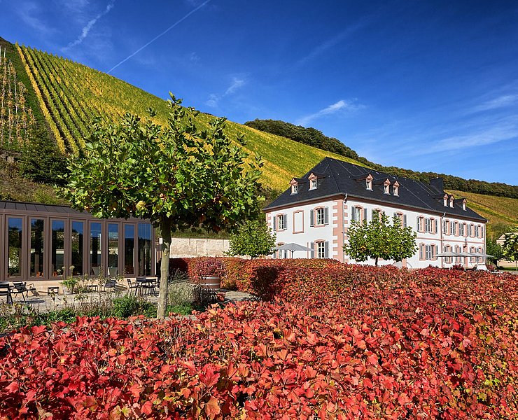 Weingut Cantzheim (4)