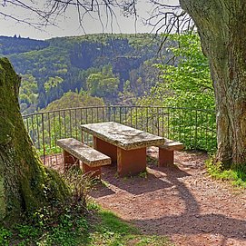 Elisensitz Kastel-Staadt (05)