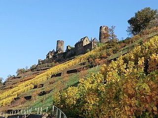 Burg Thurant