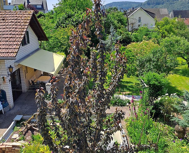 Ferienhaus Ma Cabane Saarburg (04)