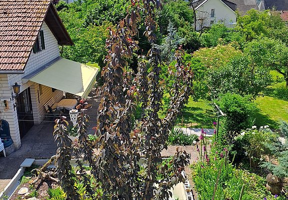 Ferienhaus Ma Cabane Saarburg (04)