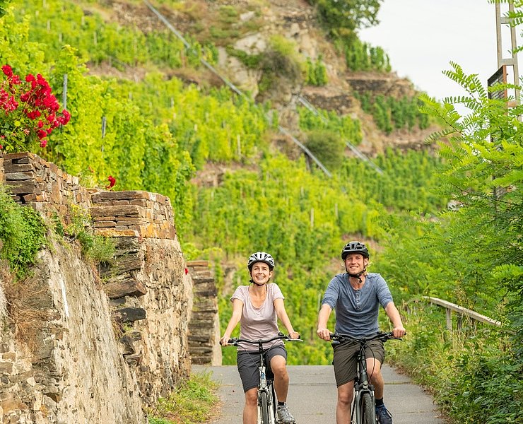 Mosel-Radweg bei Winningen 2