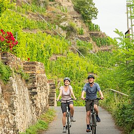 Mosel-Radweg bei Winningen 2