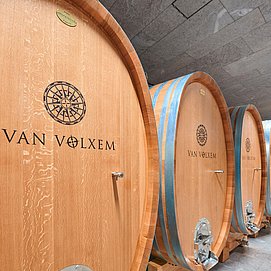 Weingut Van Volxem (6)