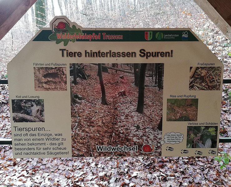 Säugetiere und Jagd (2)